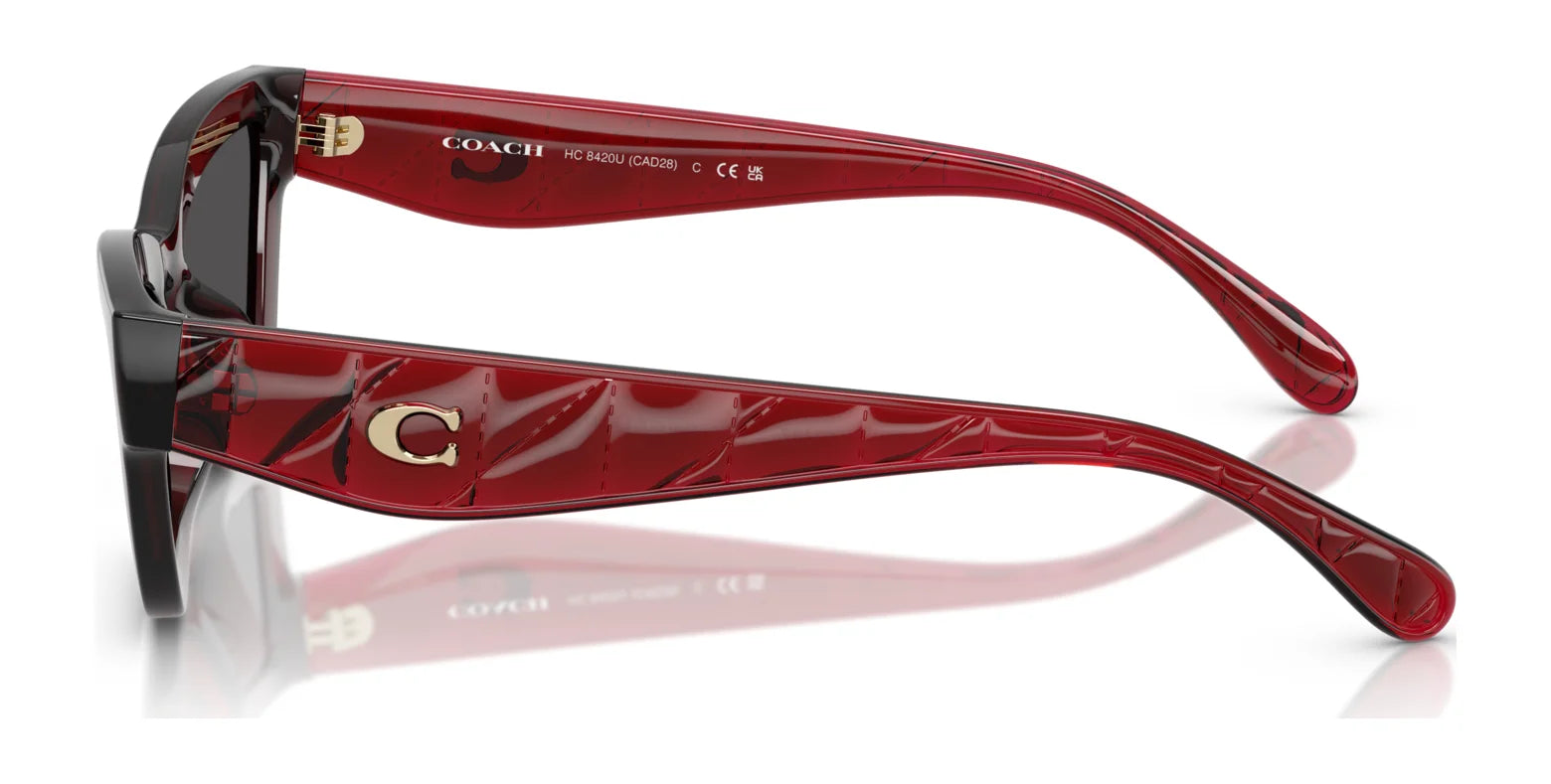Coach CAD28 HC8420U Sunglasses | Size 55