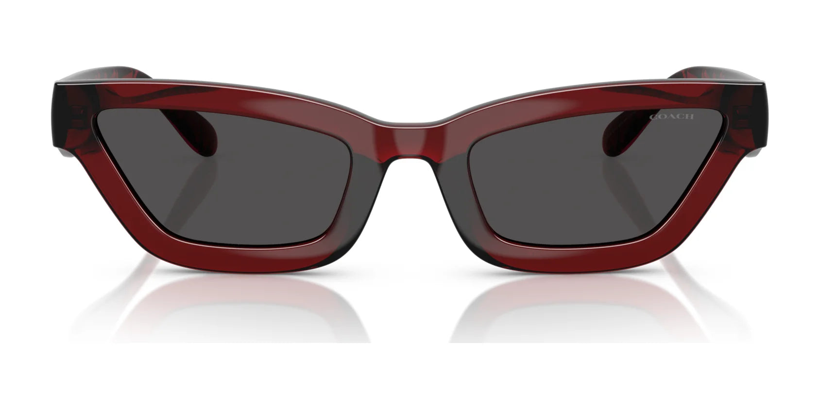 Coach CAD28 HC8420U Sunglasses | Size 55