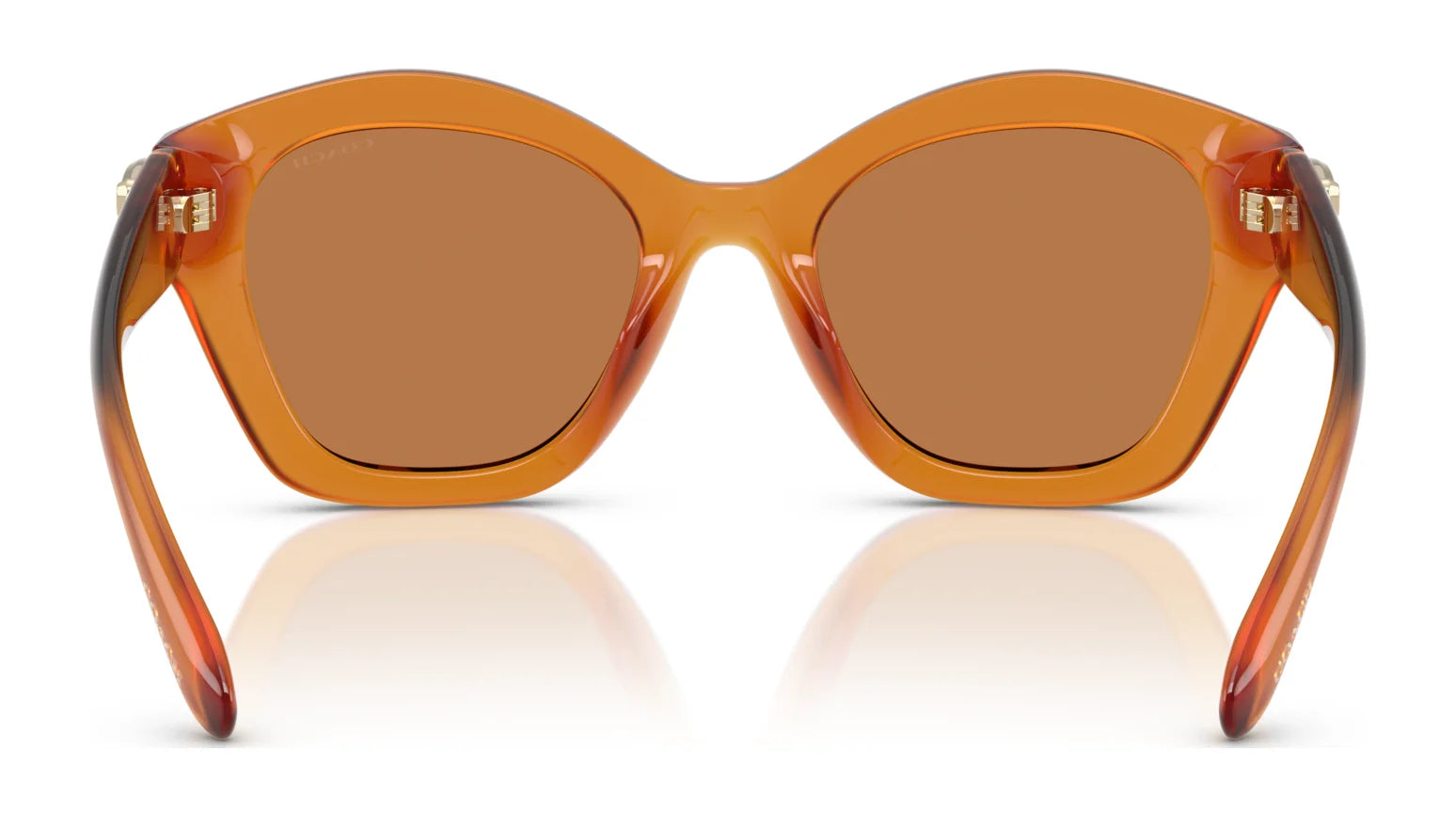 Coach CAD31 HC8421U Sunglasses | Size 54