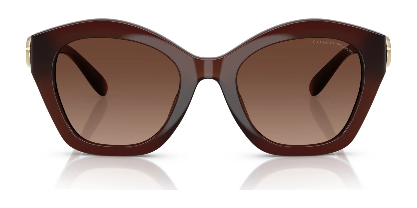 Coach CAD31 HC8421U Sunglasses | Size 54