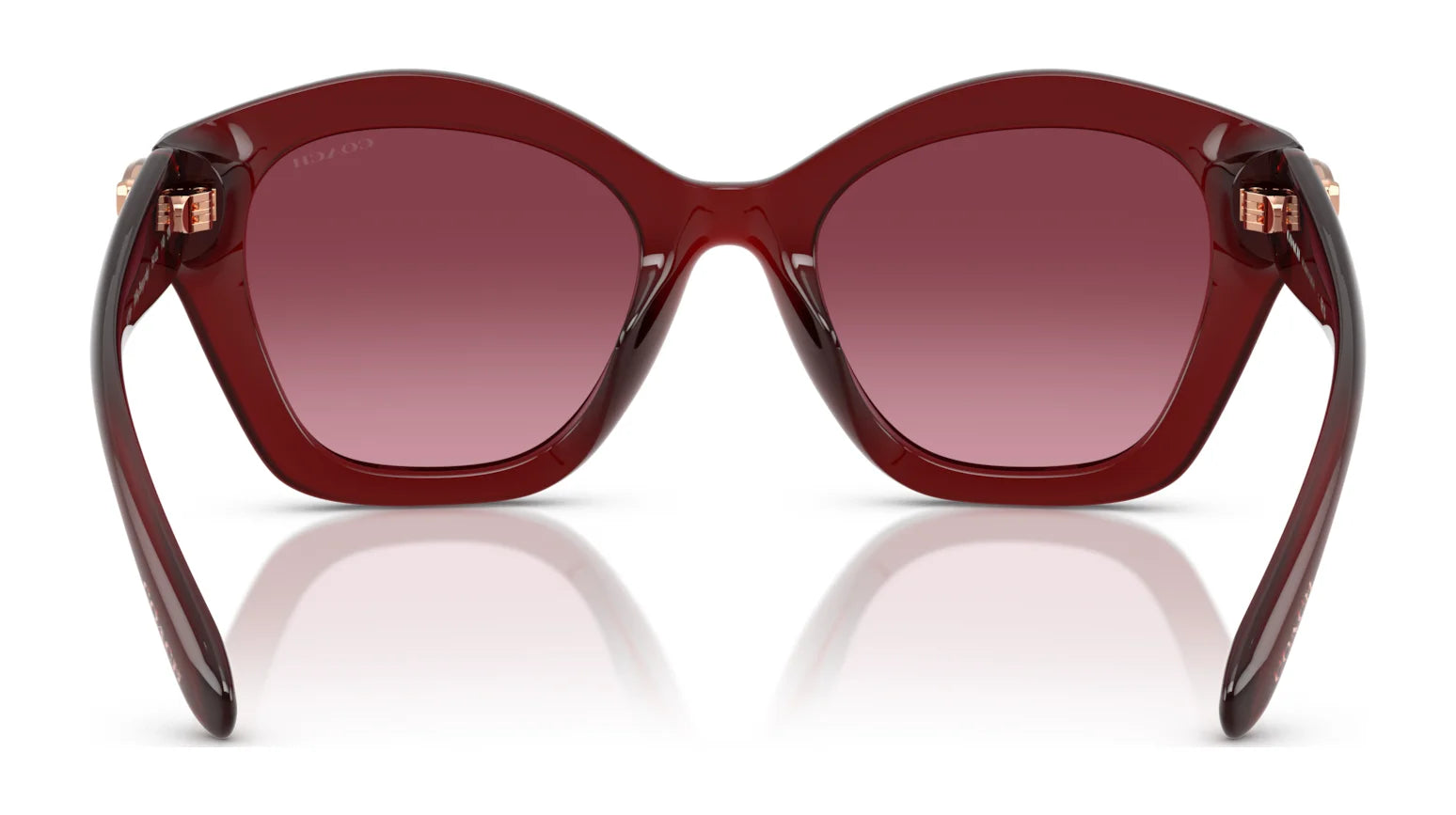 Coach CAD31 HC8421U Sunglasses | Size 54