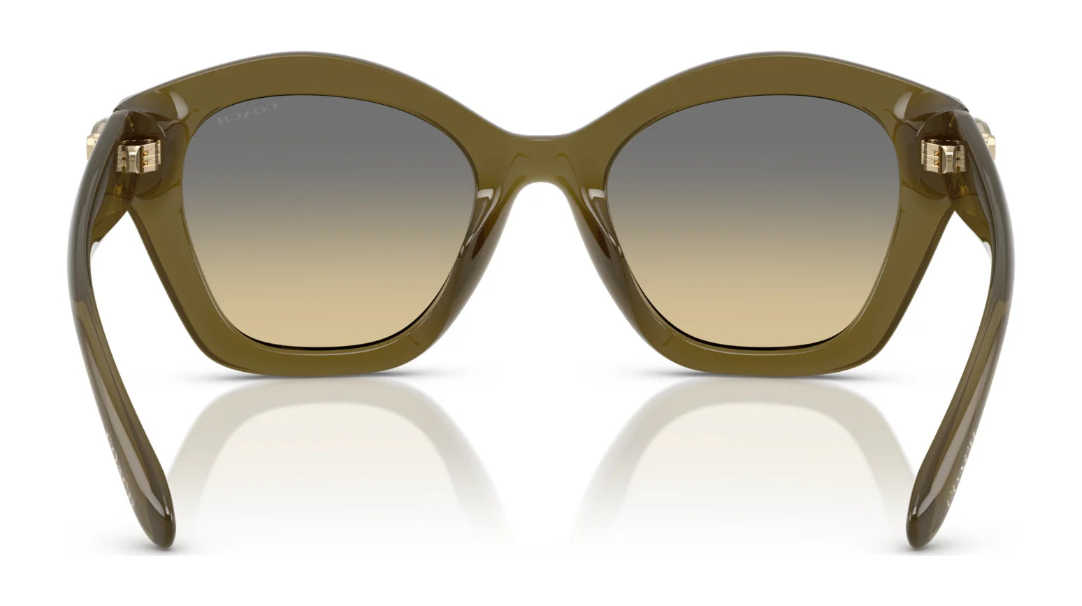 Coach CAD31 HC8421U Sunglasses | Size 54