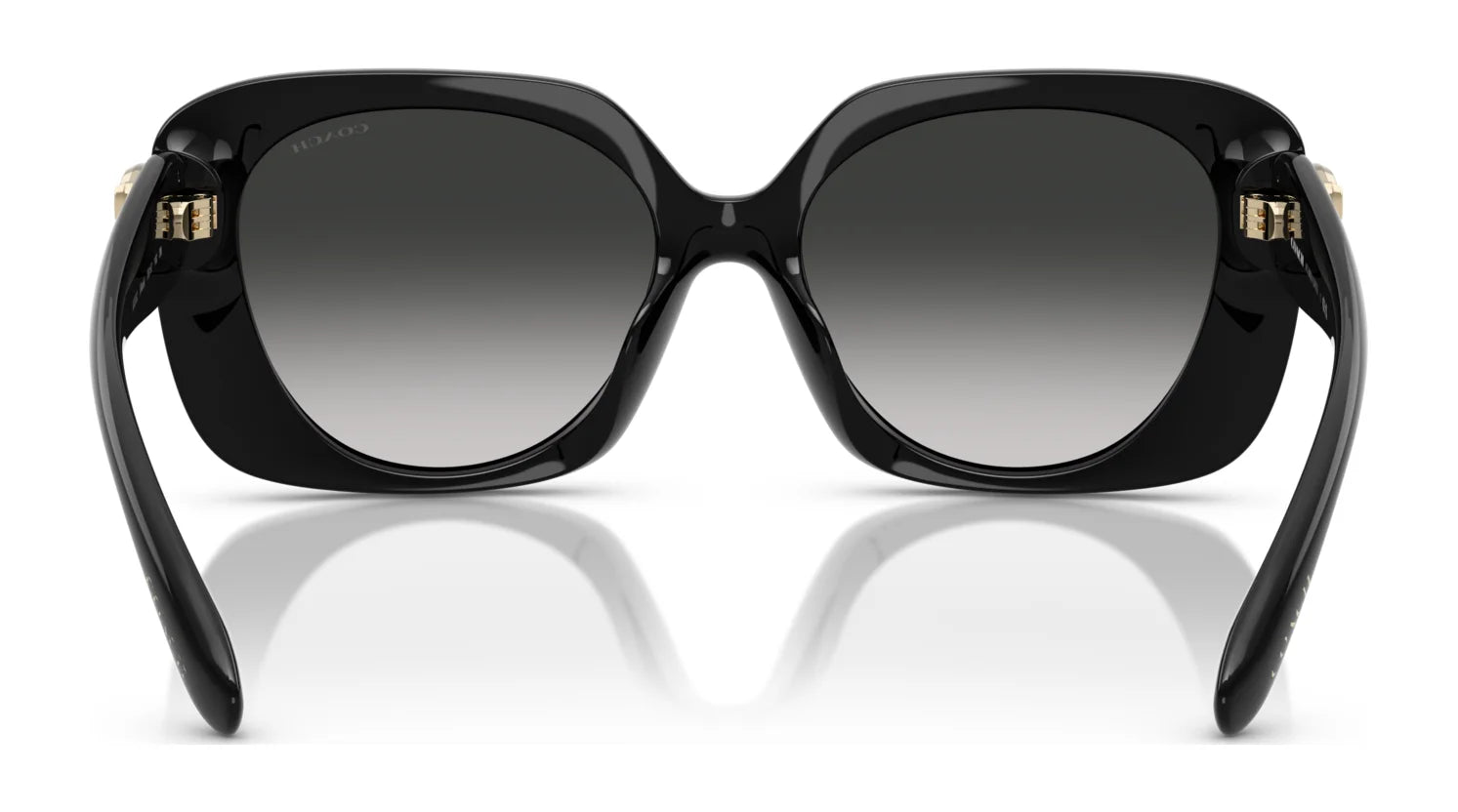 Coach CAD33 HC8422U Sunglasses | Size 55