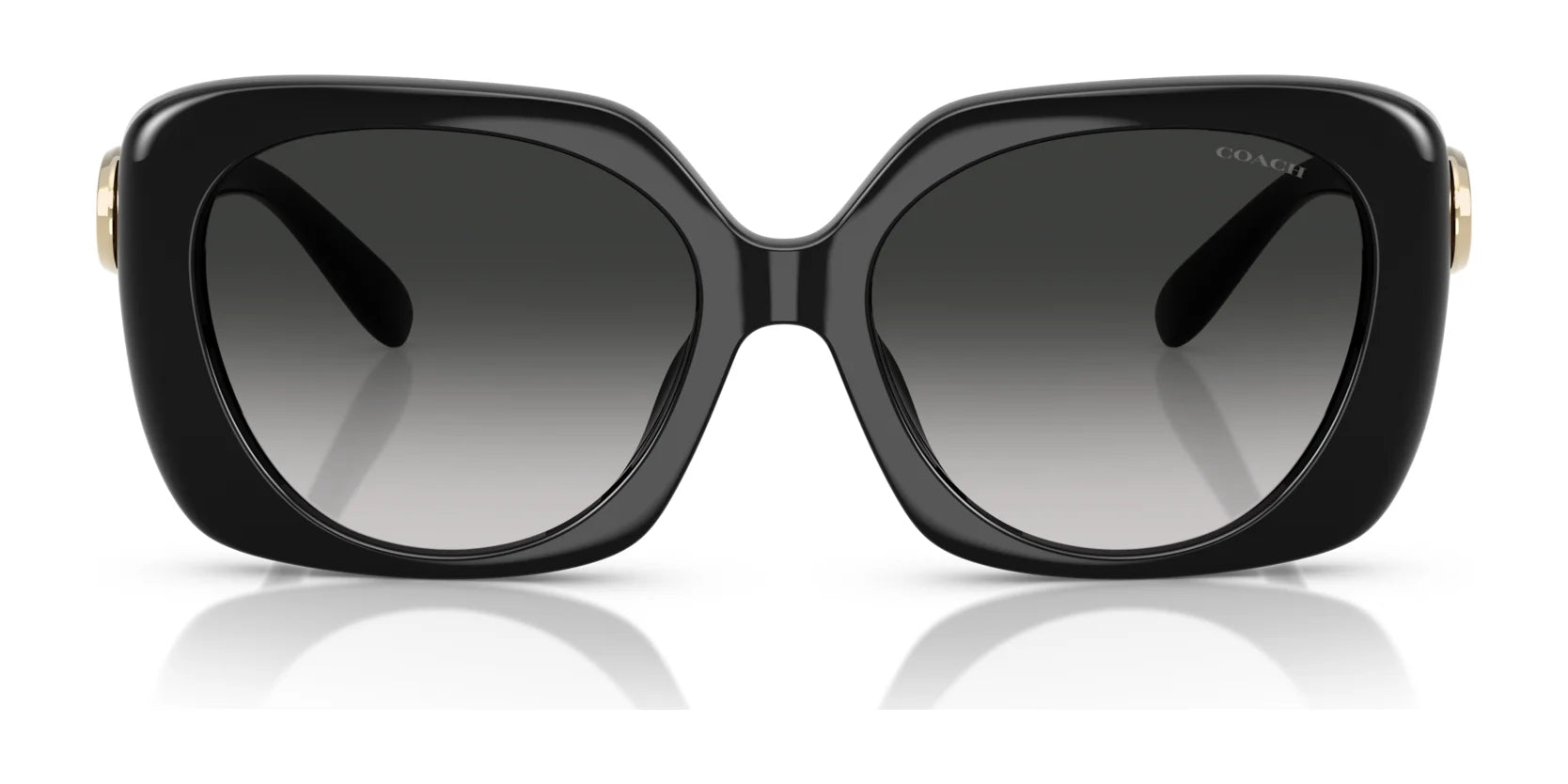 Coach CAD33 HC8422U Sunglasses | Size 55