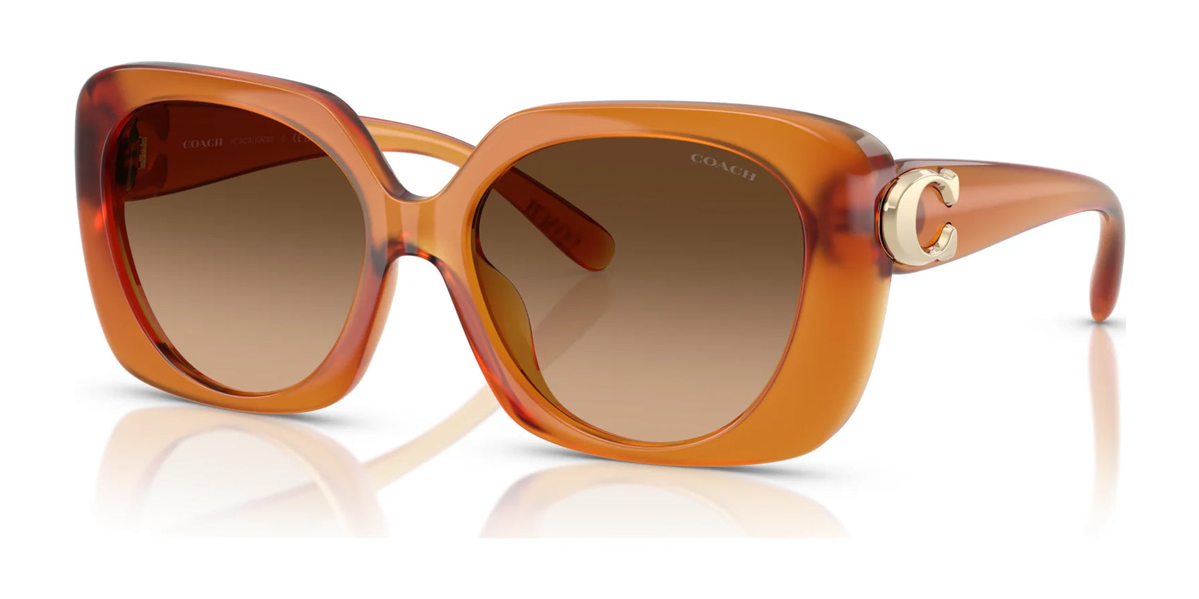 Coach CAD33 HC8422U Sunglasses | Size 55