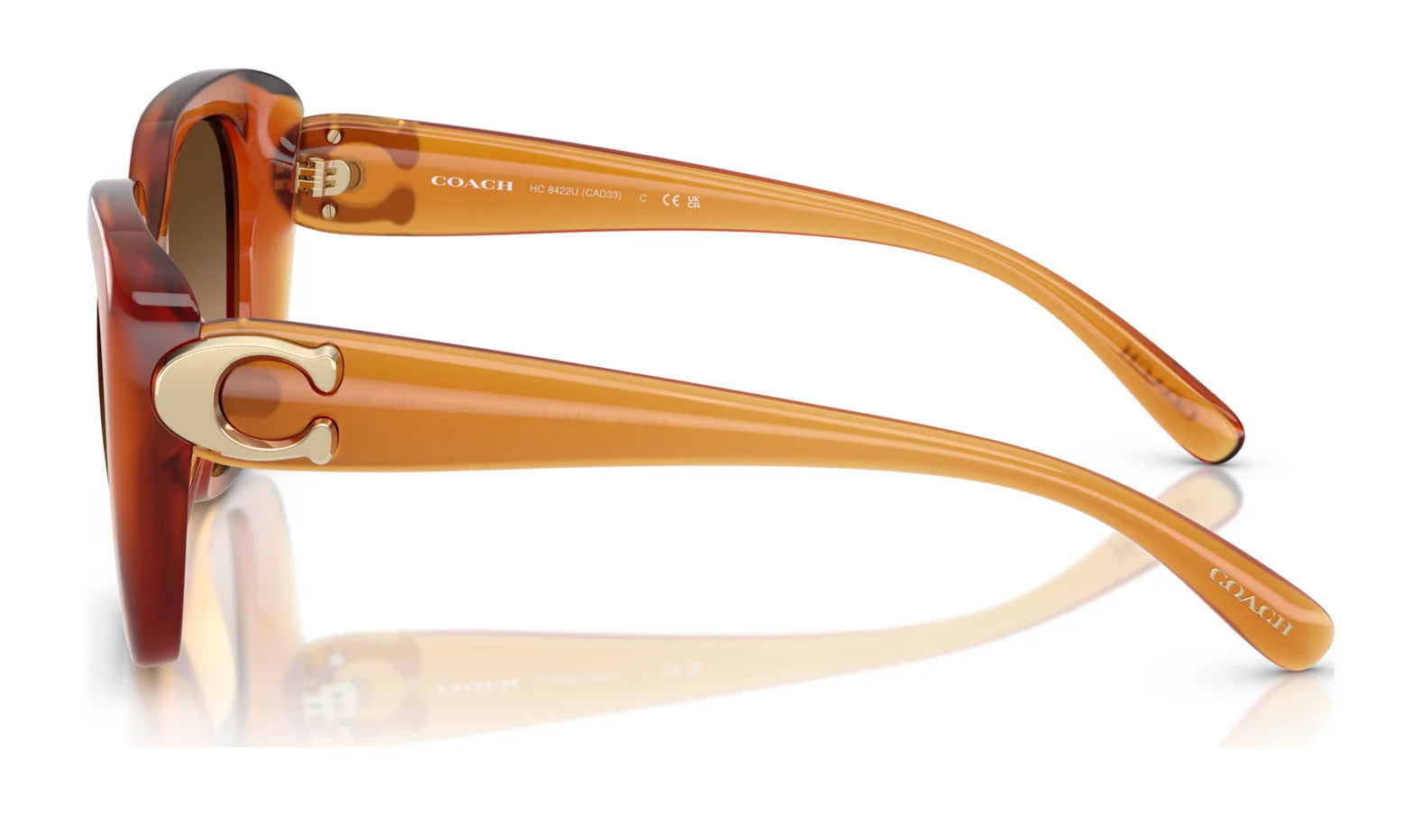 Coach CAD33 HC8422U Sunglasses | Size 55