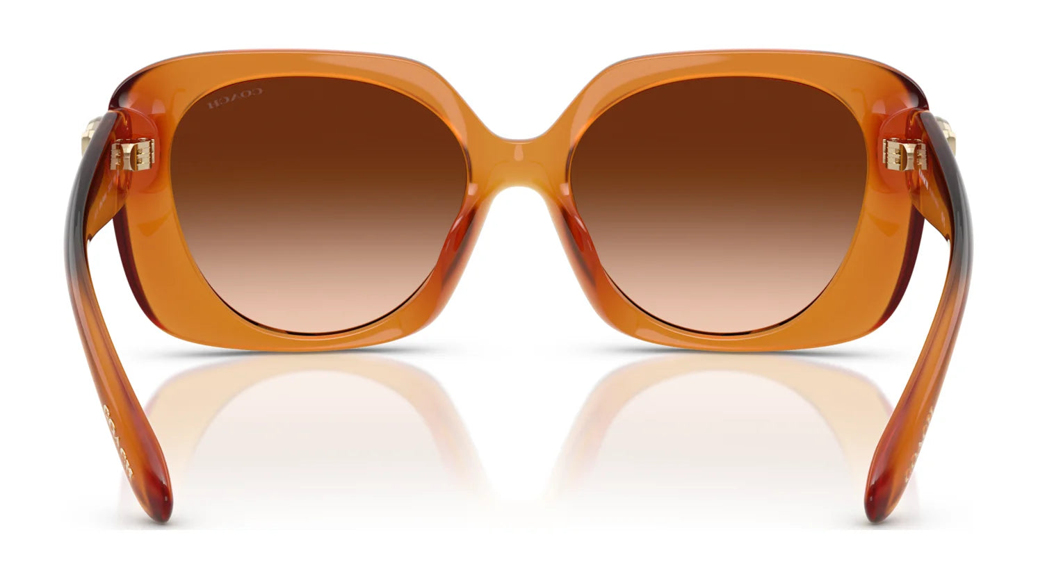 Coach CAD33 HC8422U Sunglasses | Size 55