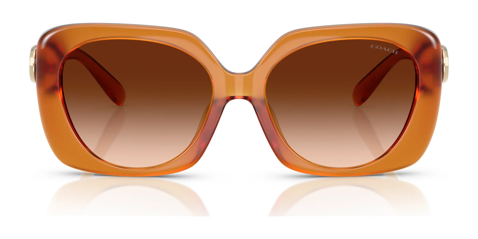 Coach CAD33 HC8422U Sunglasses | Size 55