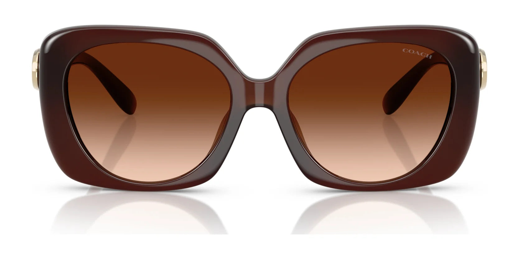Coach CAD33 HC8422U Sunglasses | Size 55
