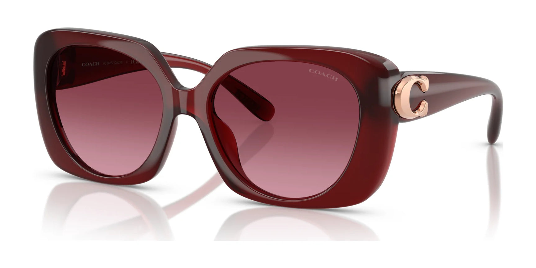 Coach CAD33 HC8422U Sunglasses | Size 55