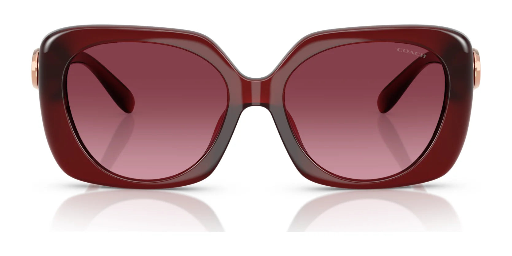 Coach CAD33 HC8422U Sunglasses | Size 55
