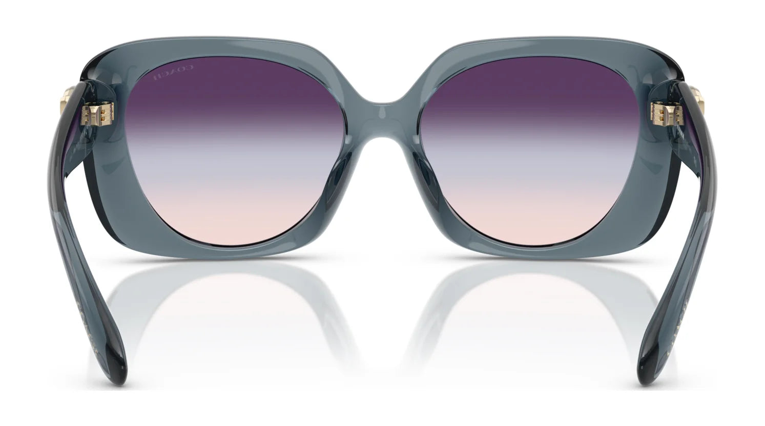 Coach CAD33 HC8422U Sunglasses | Size 55