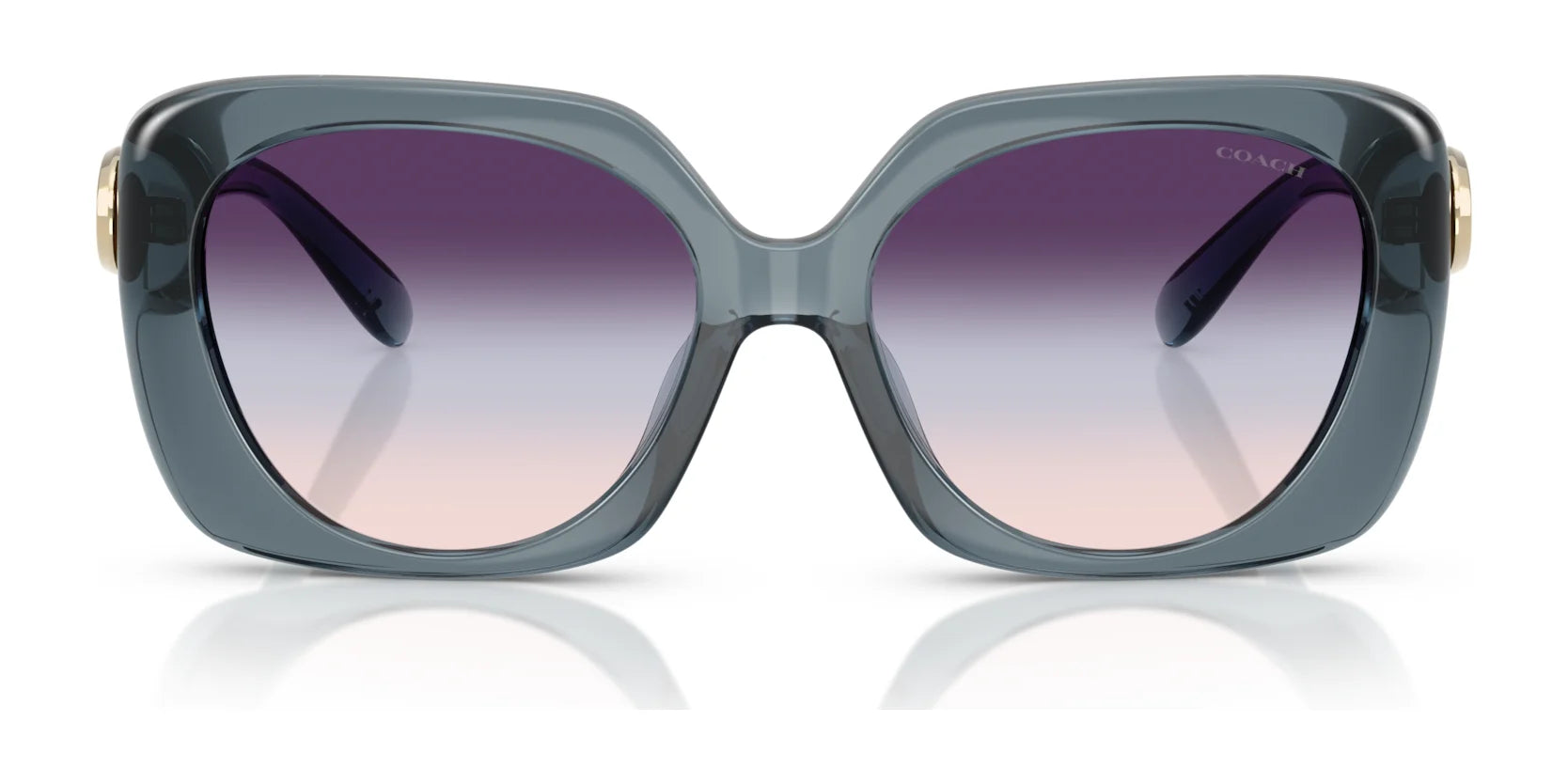 Coach CAD33 HC8422U Sunglasses | Size 55