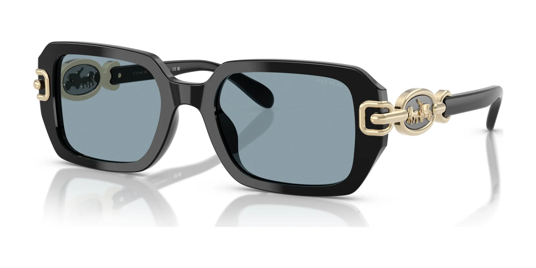 Coach CAD74 HC8425U Sunglasses Black / Blue Solid