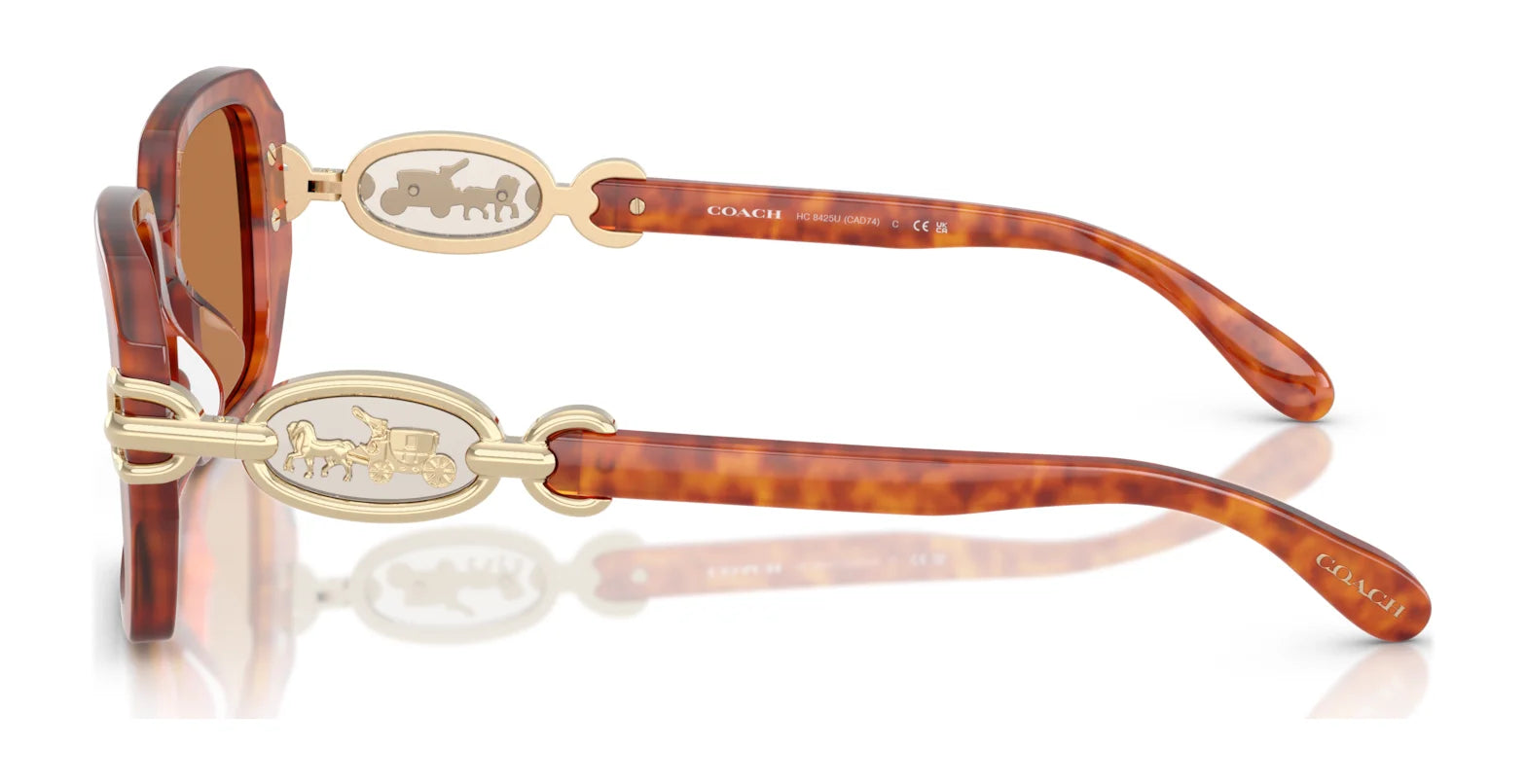 Coach CAD74 HC8425U Sunglasses | Size 52