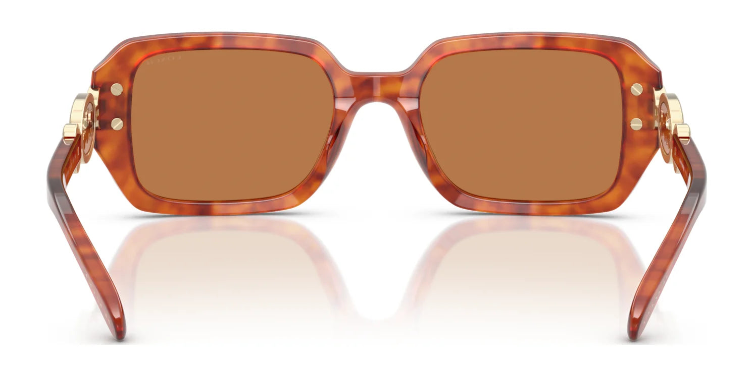 Coach CAD74 HC8425U Sunglasses | Size 52