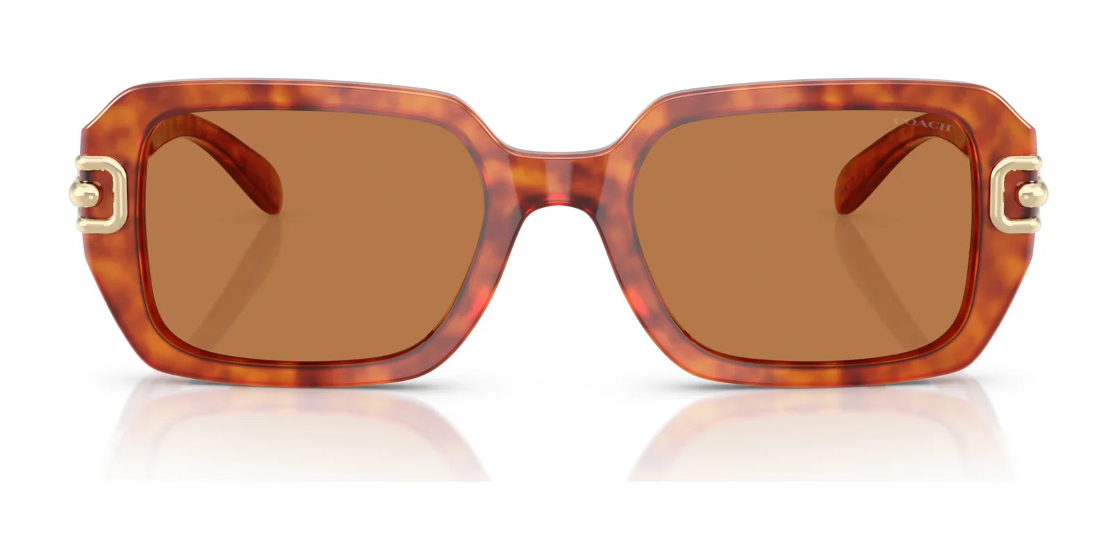 Coach CAD74 HC8425U Sunglasses | Size 52