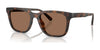 Coach CAD81 HC8426U Sunglasses | Size 54 / Matte Dark Tortoise / Brown Solid (3N 14.5%) №512073