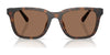 Coach CAD81 HC8426U Sunglasses | Size 54 / Matte Black / Grey Solid (3N 10%) №500287