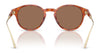 Coach CAD83 HC8428U Sunglasses | Size 50 / Caramel Tortoise / Brown Solid (3N 14.5%) №577473