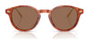 Coach CAD83 HC8428U Sunglasses | Size 50 / Caramel Tortoise / Brown Solid (3N 14.5%) №577473