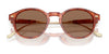 Coach CAD83 HC8428U Sunglasses | Size 50 / Caramel Tortoise / Brown Solid (3N 14.5%) №577473