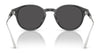 Coach CAD83 HC8428U Sunglasses | Size 50 / Caramel Tortoise / Brown Solid (3N 14.5%) №577473