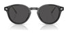 Coach CAD83 HC8428U Sunglasses | Size 50 / Caramel Tortoise / Brown Solid (3N 14.5%) №577473