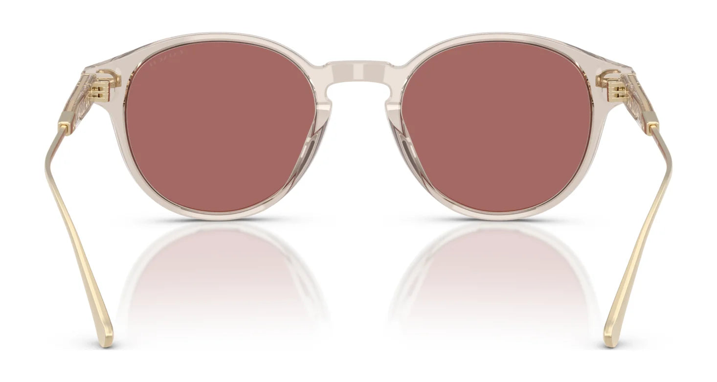 Coach CAD83 HC8428U Sunglasses | Size 50