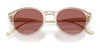 Coach CAD83 HC8428U Sunglasses | Size 50 / Caramel Tortoise / Brown Solid (3N 14.5%) №577473