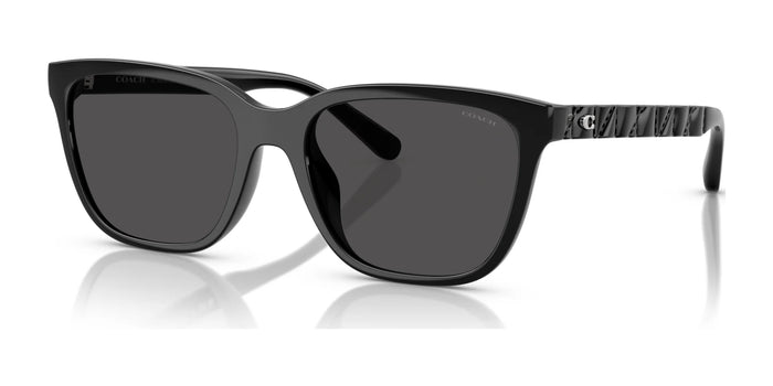 Coach CAE86 HC8429D Sunglasses | Size 56 / Black / Grey Solid (3N 10%) №500287