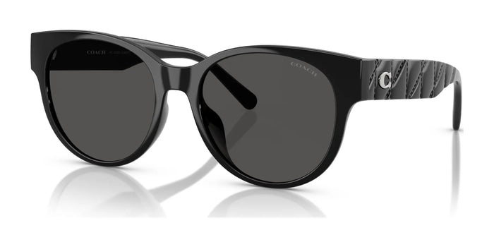 Coach CAE87 HC8430D Sunglasses | Size 56 / Black / Grey Solid (3N 10%) №500287