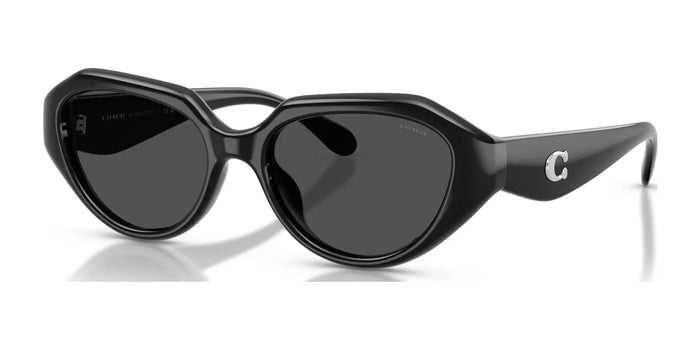 Coach CBY77 HC8433U Sunglasses | Size 52 / Black / Grey Solid (3N 10%) №500287