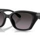 Grey Gradient (Polarized) (3P 12.5%) №5002F4