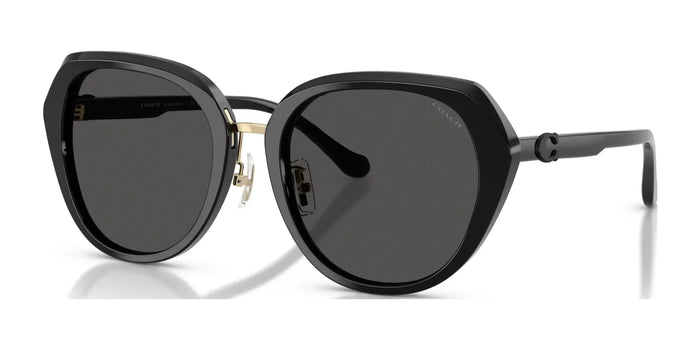 Coach CBY93 HC8436 Sunglasses | Size 55 / Black / Grey Solid (3N 10%) №500287