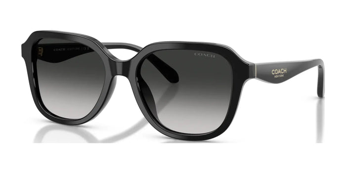 Coach CBY89 HC8437F Sunglasses | Size 56 / Black / Grey Gradient (3N 13.2%) №50023C