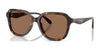 Coach CBY89 HC8437F Sunglasses | Size 56 / Dark Tortoise / Brown Solid (3N 14.5%) №512073