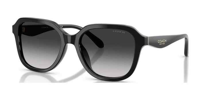 Coach CBY87 HC8437U Sunglasses | Size 53 / Black / Grey Gradient (3N 13.2%) №50023C