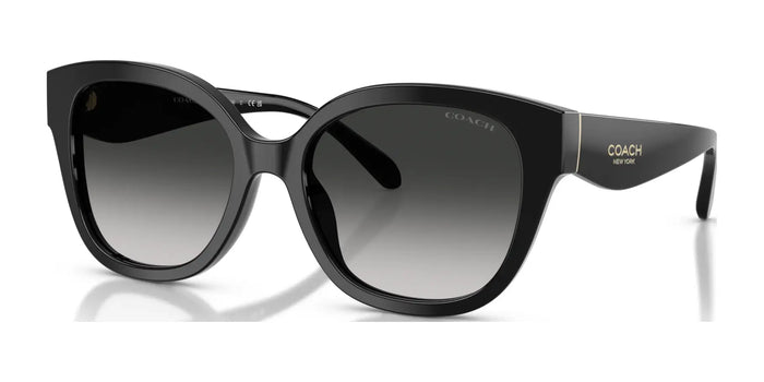 Coach CBY94 HC8438U Sunglasses | Size 56 / Black / Grey Gradient (3N 13.2%) №500287