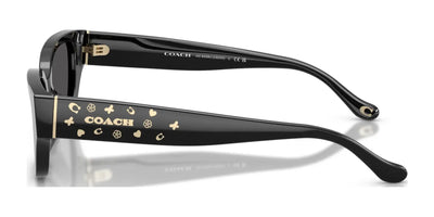 Coach CBZ52 HC8439U Sunglasses | Size 53