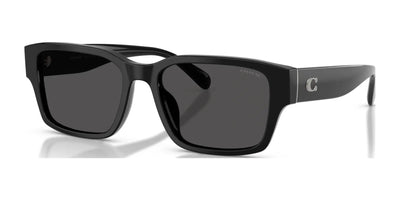 Coach CBY96 HC8441U Sunglasses Black / Grey Solid