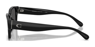 Coach CBY96 HC8441U Sunglasses | Size 55