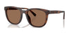 Coach CCA00 HC8442U Sunglasses | Size 54 / Matte Dark Tortoise / Brown Solid (3N 14.5%) №512073