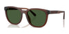 Coach CCA00 HC8442U Sunglasses | Size 54 / Matte Transparent Brown / Green Solid (3N 9.4%) №591171