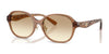 Coach CBY85 HC8445D Sunglasses | Size 56 / Transparent Brown / Clear Brown (1N 63.1%) №565413