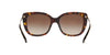 Coach L1040 HC8246 Sunglasses / Dark Tortoise №541713 / Brown Gradient (3N 16%) / Size 55