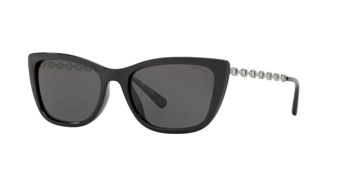 Coach L1065 HC8257U Sunglasses / Black №500287 / Dark Grey (3N 9.9%) / Size 55