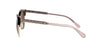 Coach L1113 HC8277 Sunglasses / Dark Tortoise №512013 / Brown Gradient (3N 10.7%) / Size 55