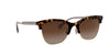 Coach L1113 HC8277 Sunglasses / Dark Tortoise №512013 / Brown Gradient (3N 10.7%) / Size 55