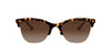 Coach L1113 HC8277 Sunglasses / Dark Tortoise №512013 / Brown Gradient (3N 10.7%) / Size 55
